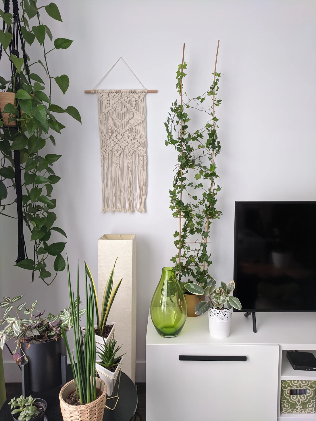 Salón luminoso con plantas y detalles de fibras naturales